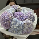 bouquet-of-hydrangeas-symphony:-a-melody-of-feelings