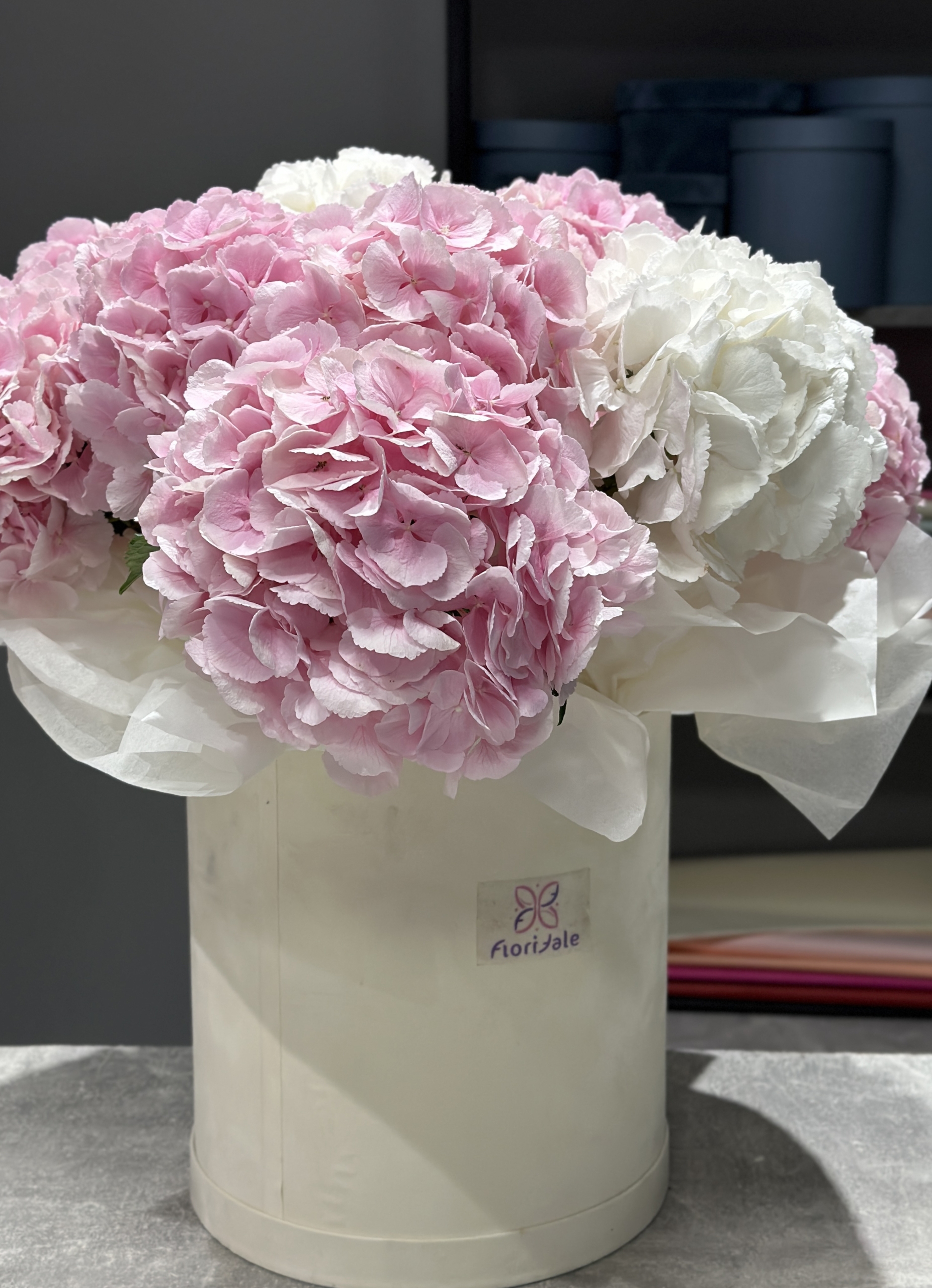 Korobka5-2 Korobka5-2