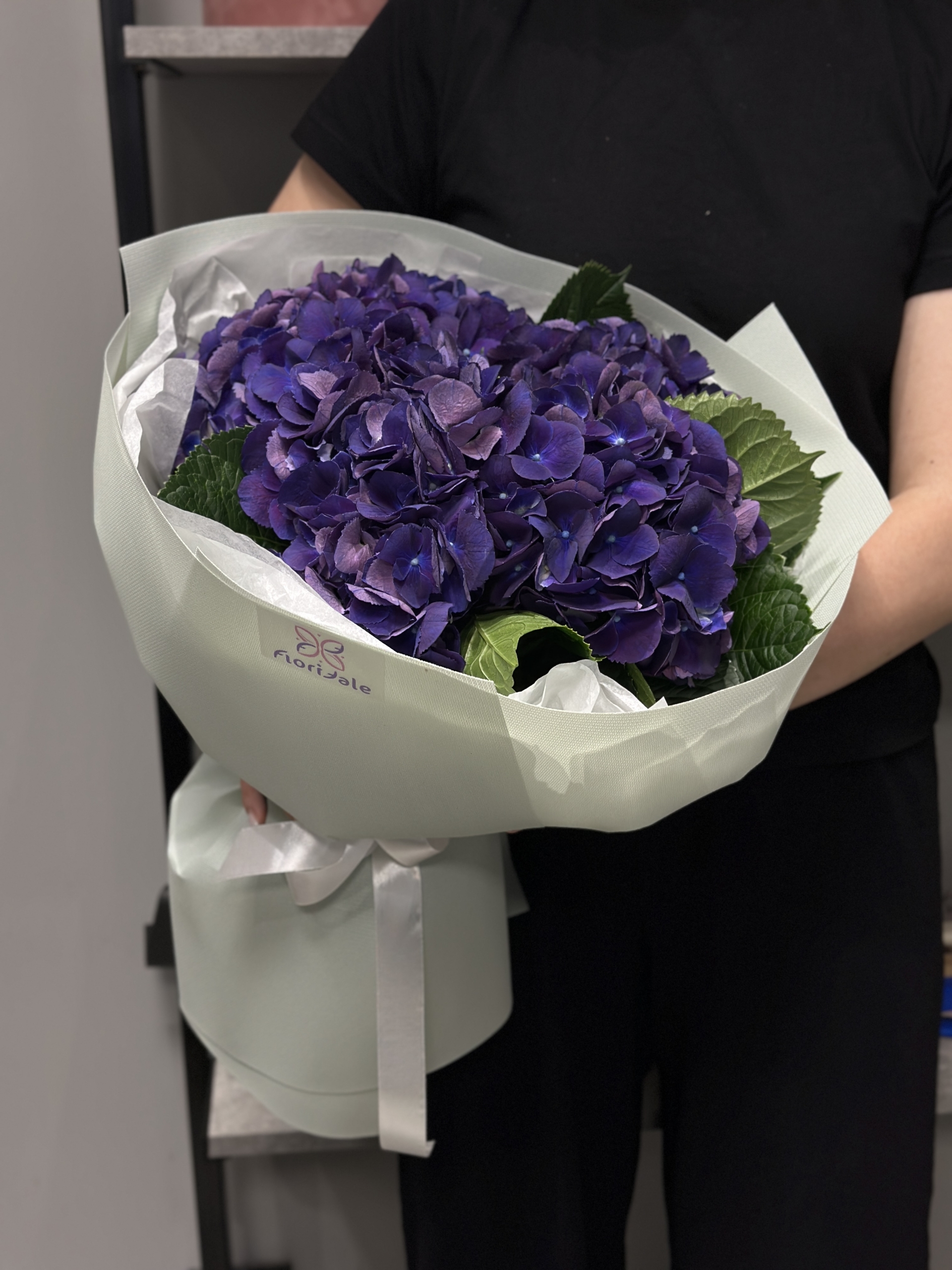 Mono_gortenzii2-2 Mono_gortenzii2-2