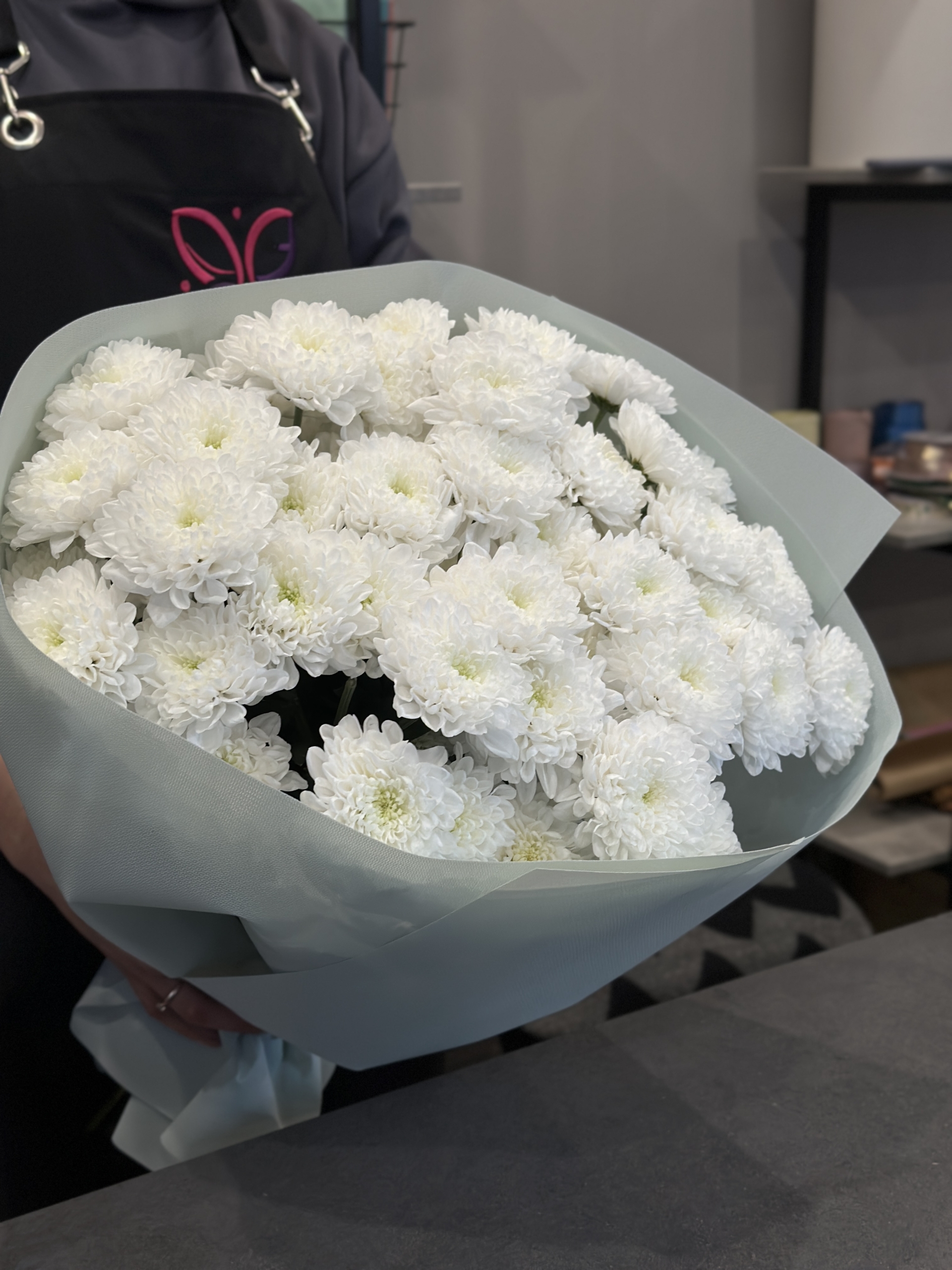 Mono_hriza1-2 Mono_hriza1-2