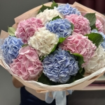 bouquet-of-hydrangeas-mystery:-a-dream-of-every-girl