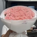 Mono_diantusy1-1 Mono_diantusy1-1