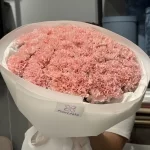 Mono_diantusy1-4 Mono_diantusy1-4