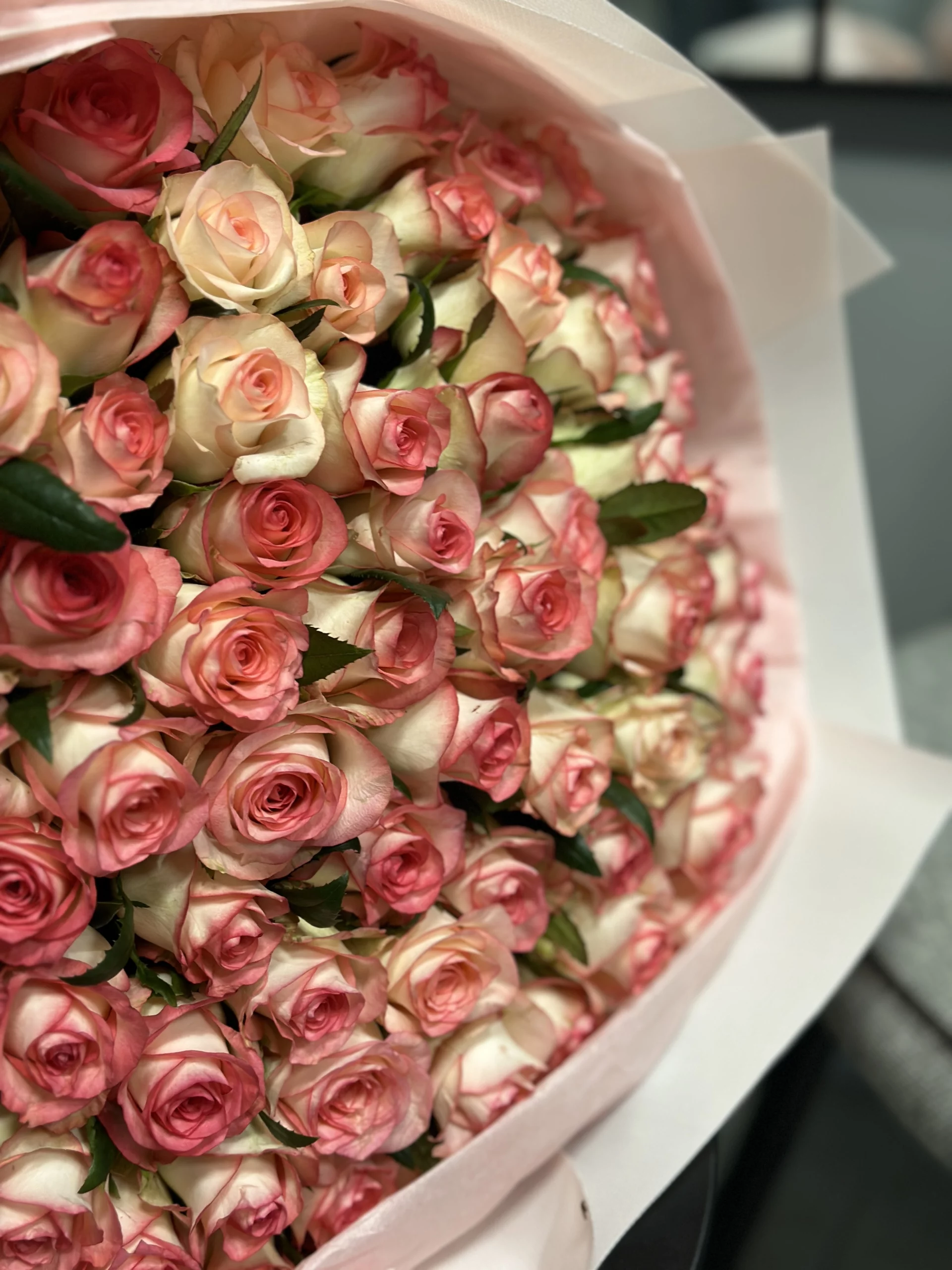 Mono_rozy67-3 Mono_rozy67-3