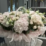 Korzina15-1 Korzina15-1