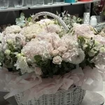 Korzina15-3 Korzina15-3