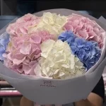 Mono_gortenzii13-1 Mono_gortenzii13-1