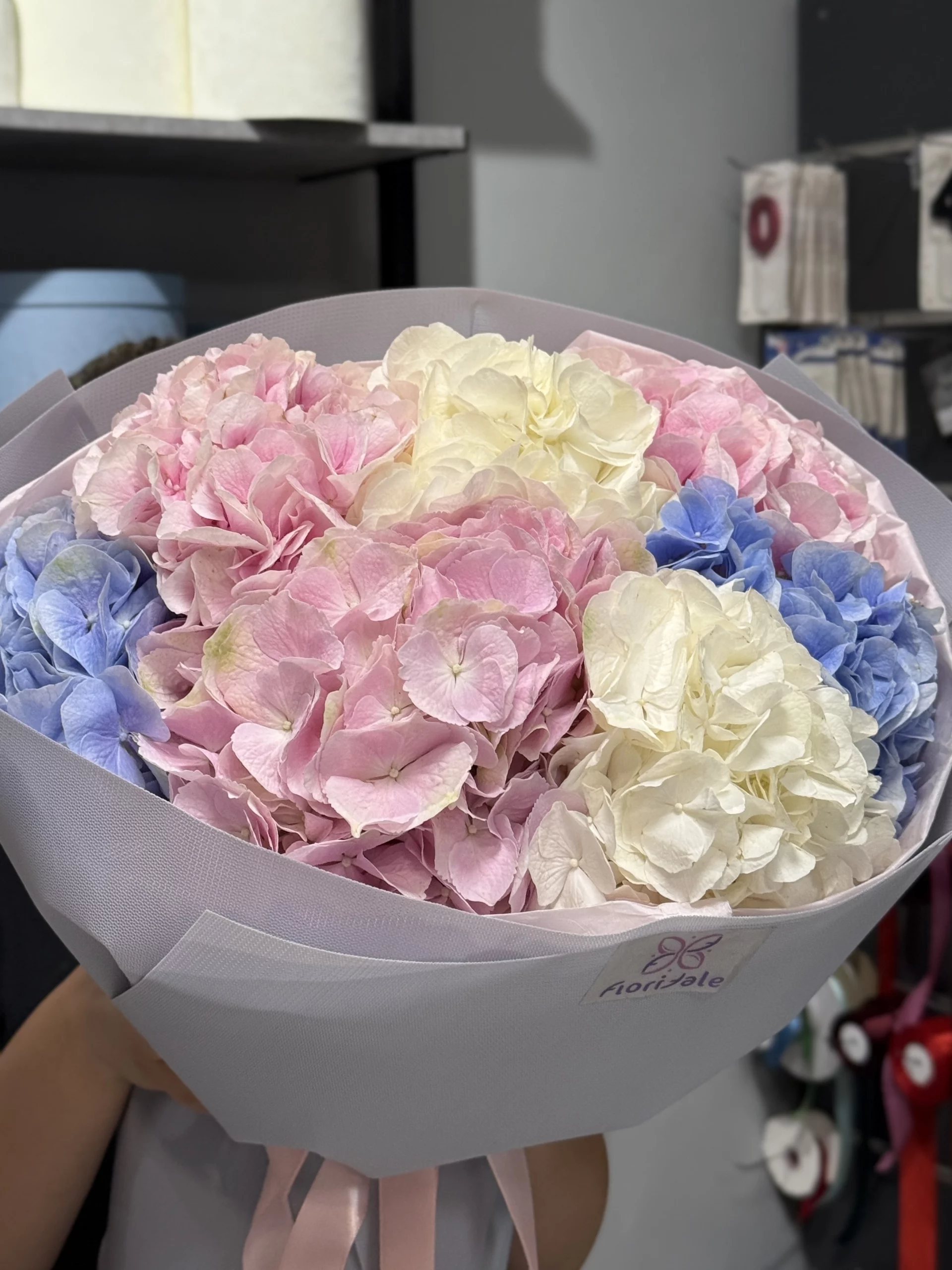 Mono_gortenzii13-2 Mono_gortenzii13-2